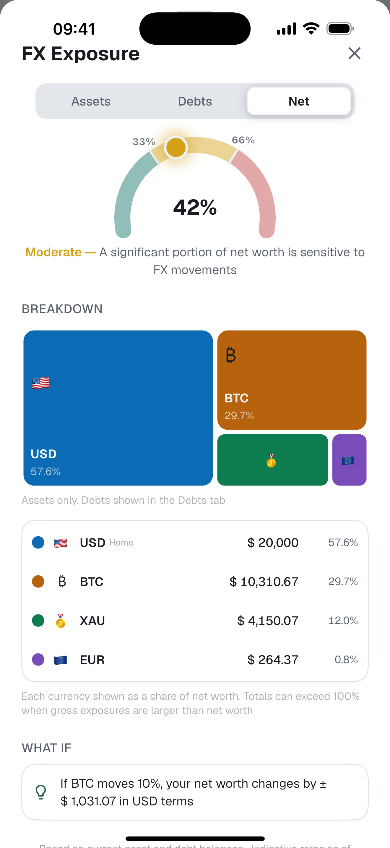 FX exposure analysis showing the currency share of net worth